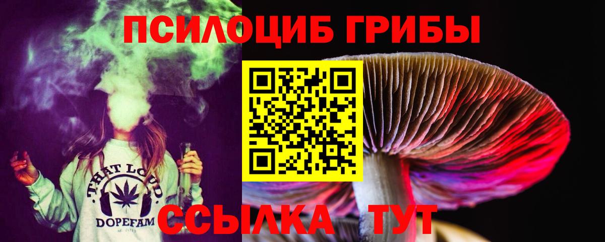 Псилоцибиновые грибы Psilocybine cubensis Сальск